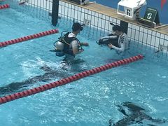 -七宝中学游泳馆