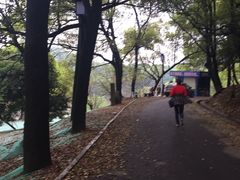 -石峰公园