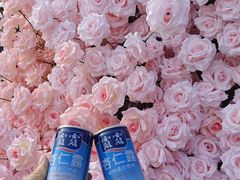 -桃花堤公园