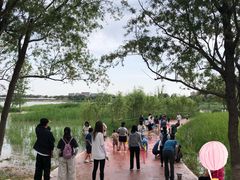 -绿堤公园