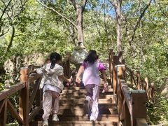 -大岭沟猕猴桃谷风景区