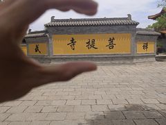 -台儿庄古城