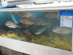 -西归浦每天偶来市场