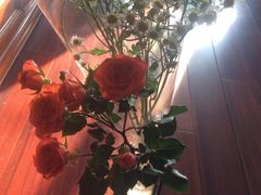 -FEI FEI FLOWER鲜花店·气球派对·宝宝宴布置(虹口德必运动Loft店)