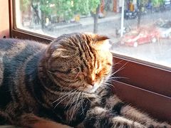 -新新潘晓婷台球俱乐部(周浦店)