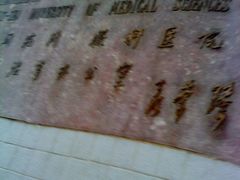 -中山大学中山眼科中心(区庄院区)