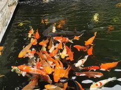 -新灿记大酒楼