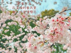 -静安雕塑公园