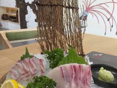 -一本钓鲔鱼屋