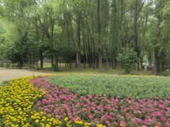 -哈尔滨北方森林动物园