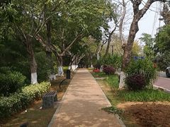 -五缘湾湿地公园