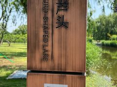 -西海子公园
