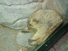 -福州罗源湾海洋世界旅游区