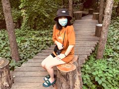 -大鹅岛绿色生态美食园