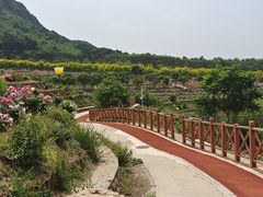 -密云玫瑰情园