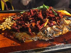 豆花烤鲮波鱼-探鱼·鲜青椒爽麻烤鱼(广州花都来又来店)