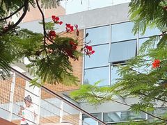 -缘生态云南菜·野生菌庭院餐厅(华侨城店)