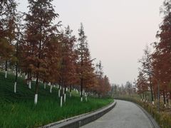 -金海湾滨江公园