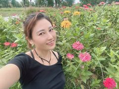 -汉长安城未央宫国家考古遗址公园