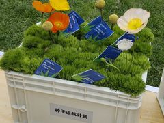 -陆家嘴中心绿地