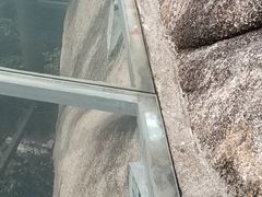 -亚龙湾热带天堂森林公园