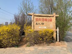 -前关湿地公园