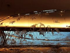 -新加坡文华东方酒店