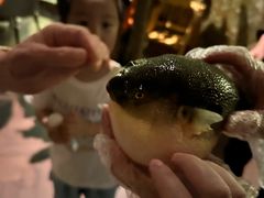-肆月河豚·淮扬菜·湘菜(华天店)