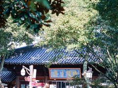 -枫桥景区
