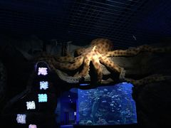 -多彩贵州城极地海洋世界