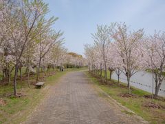 -上海海湾国家森林公园