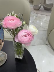-智美品质医美