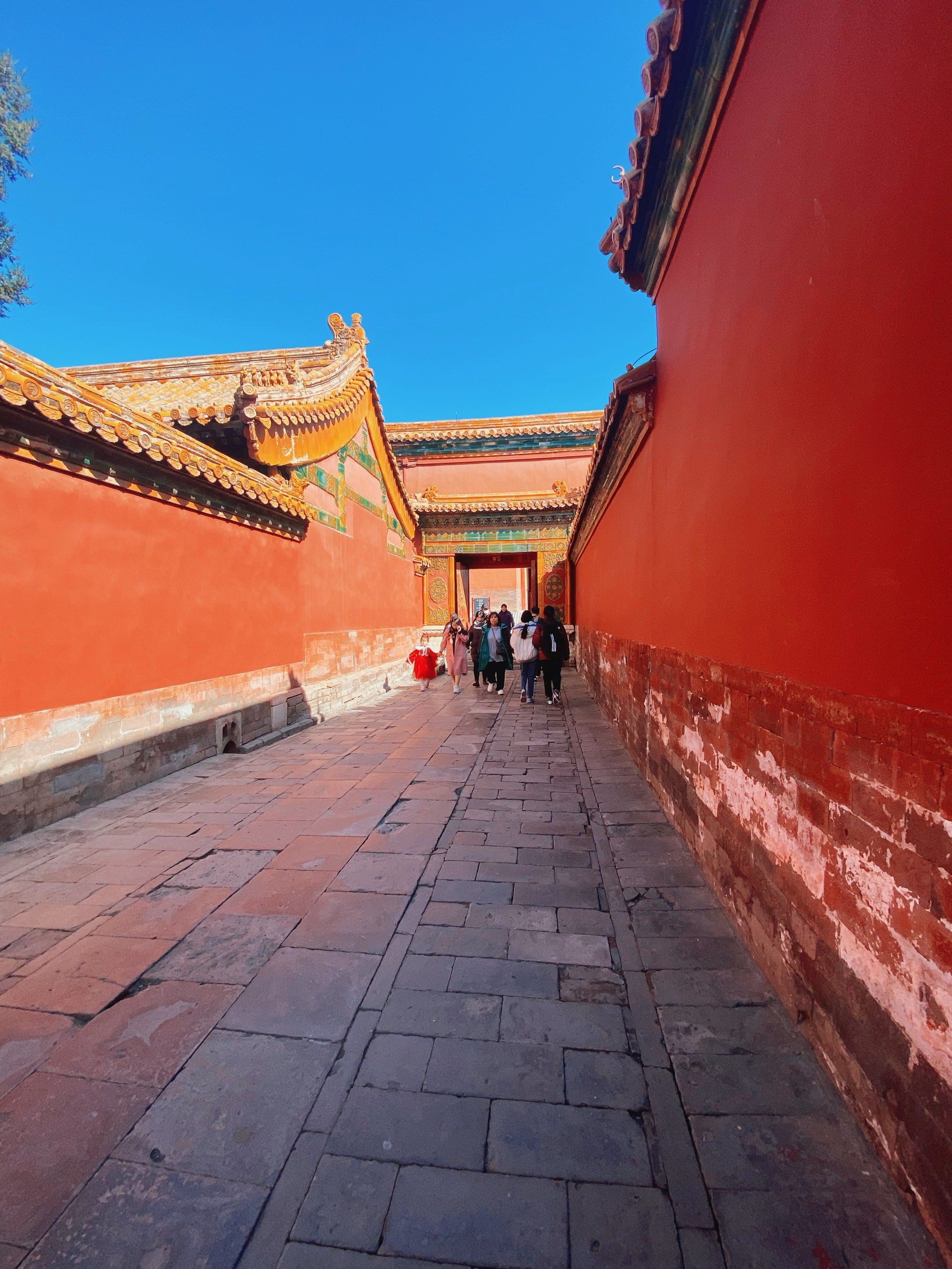 紫禁城 我来啦 悠悠宫墙 承载几番轮回