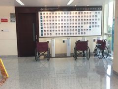 -温州市中西医结合医院