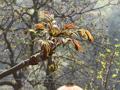 -南窖乡水峪村山情农家