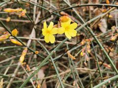 -兰溪小馆(东直门簋街店)