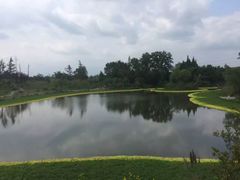 -桤木河湿地公园