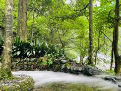 -西岭雪山大飞水景区