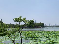 -济南大明湖景区
