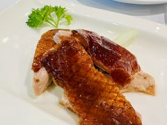 -桃苑(华侨银行大厦店)