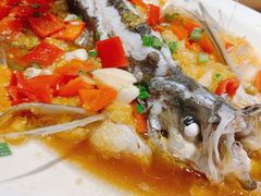 翘嘴鲌鱼-丹江渔村(望京店)