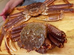 -大岛日本料理铁板烧(南通大饭店)