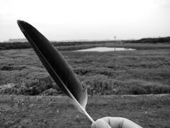 -盘龙城国家考古遗址公园