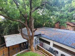 -马王堆汉墓遗址