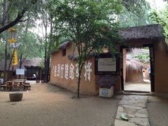 -微山湖红荷湿地景区
