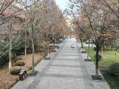 -中国丝业博物馆