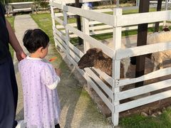 -宁波九龙湖开元度假村