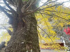 -大慈岩风景区
