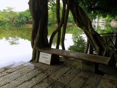 -小洲村