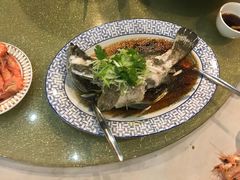 -Gloria Maris Shark's Fin Restaurant Greenhills